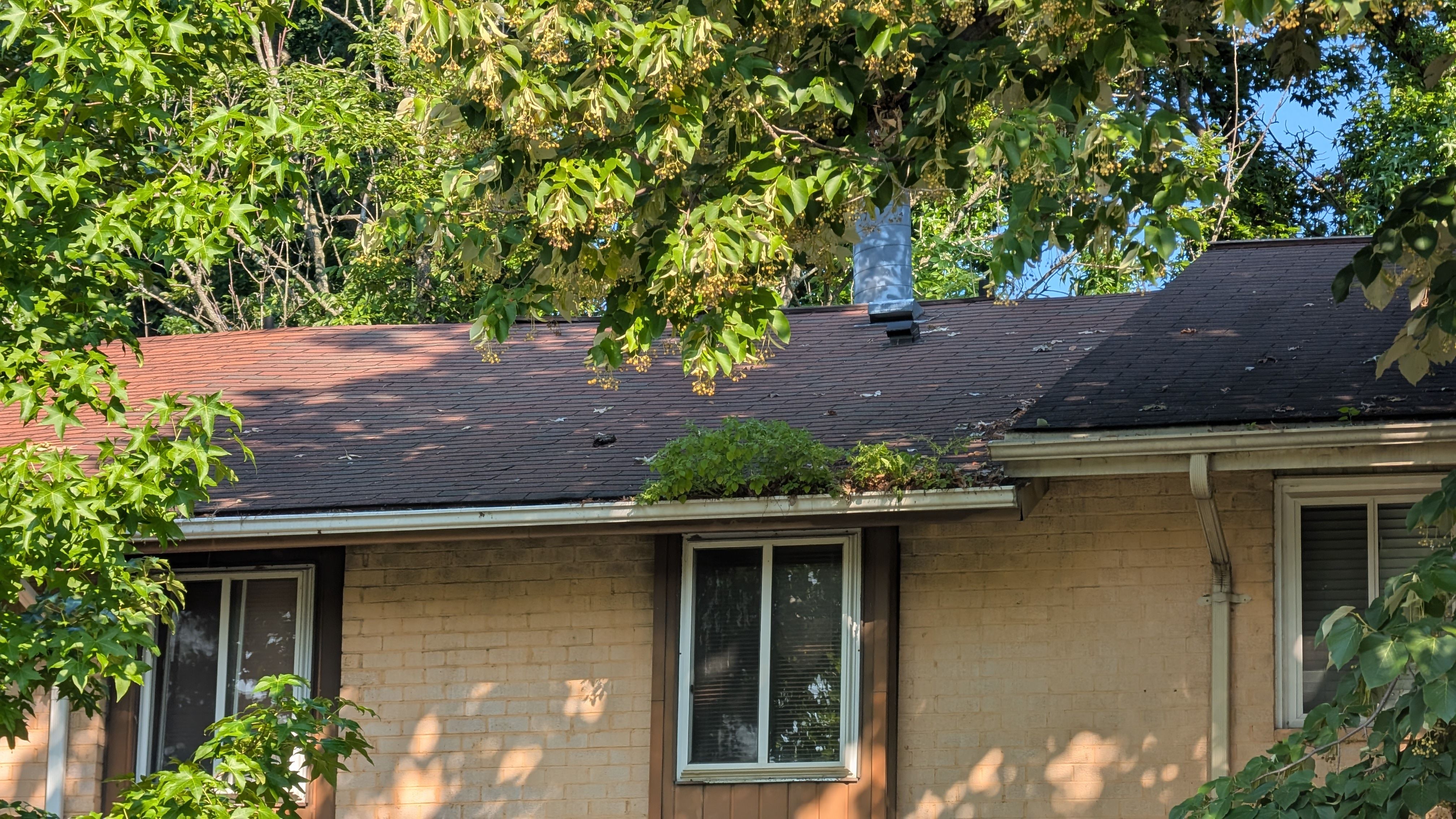 top of house and roof with lots of trees around it