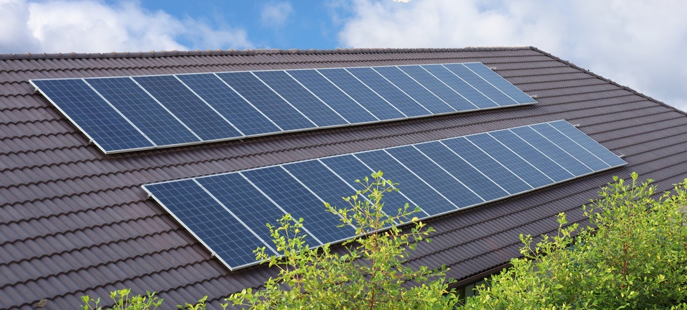 gray roof with two rows of solar panels and top of a tree with green leaves